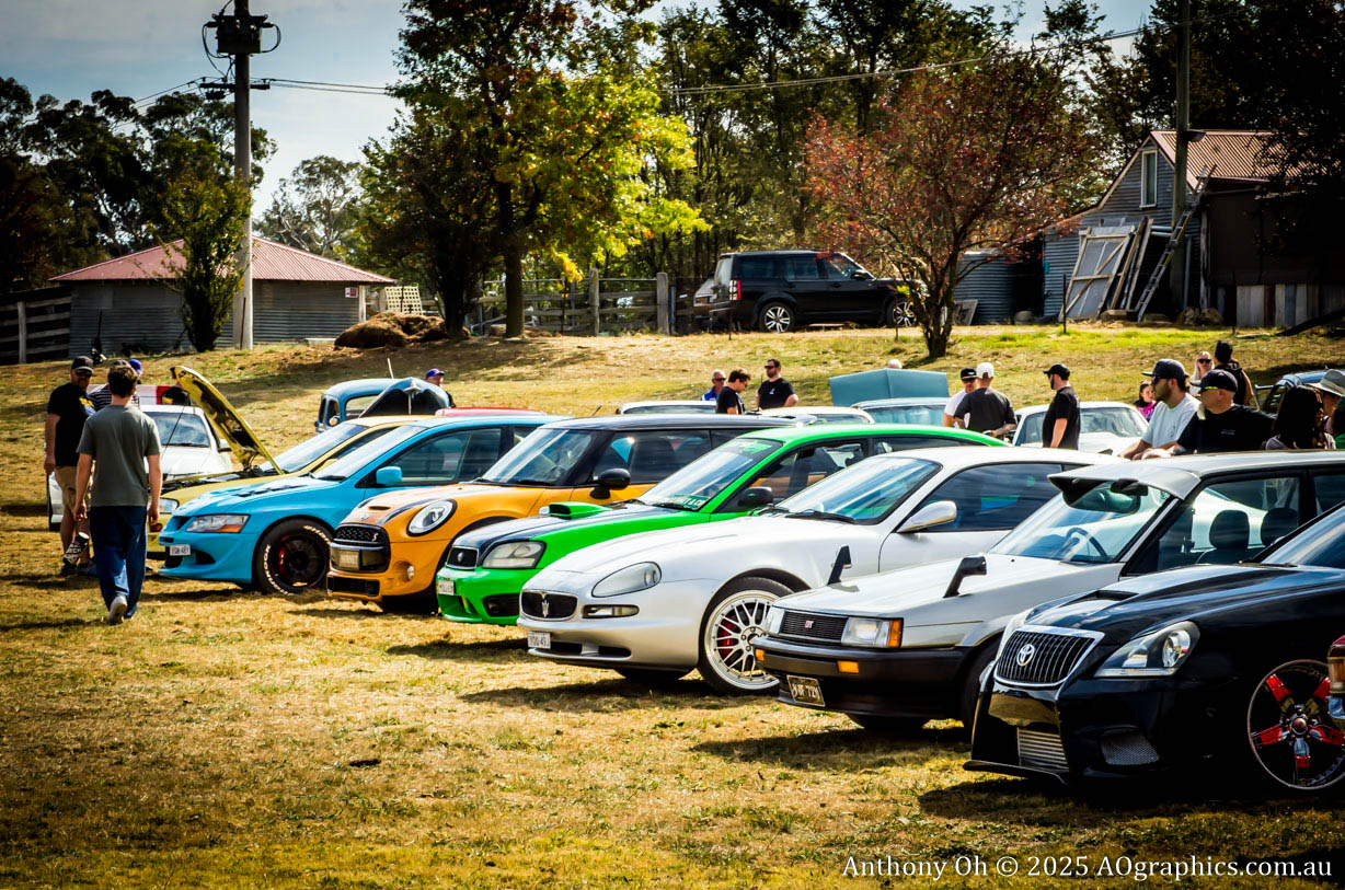 Lineup of various colorful cars parked on grass with people walking and standing nearby.