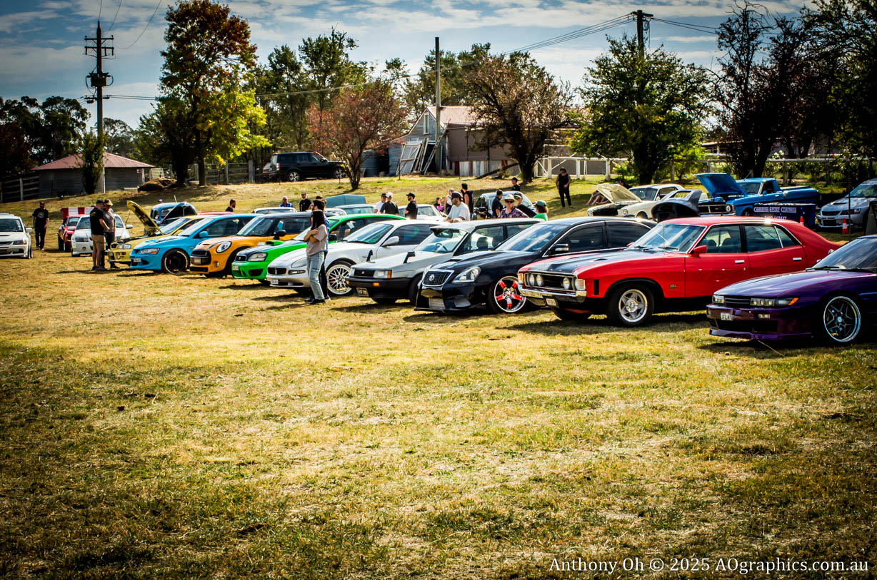 Lineup of colorful cars parked on grass with people standing and viewing them outdoors.
