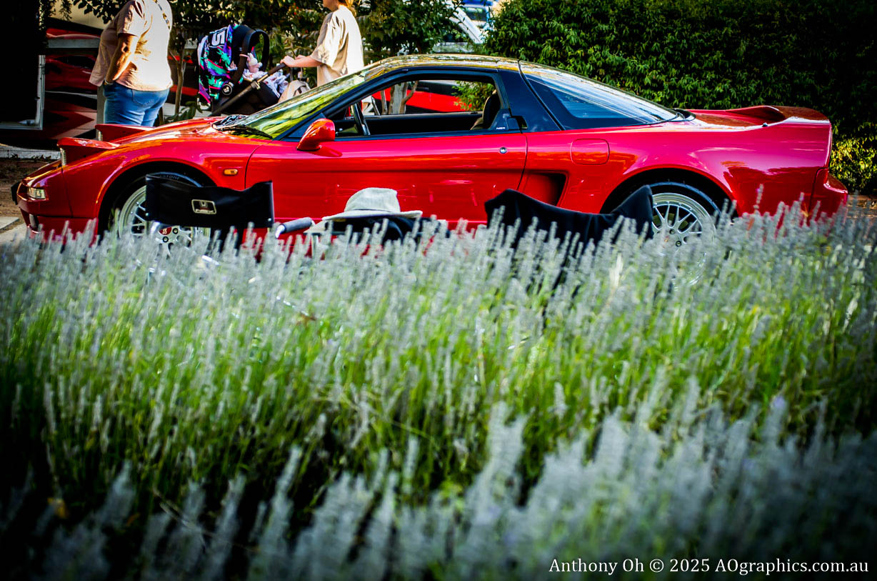 Red sports car behind lavender bushes with people in the background at an outdoor event.