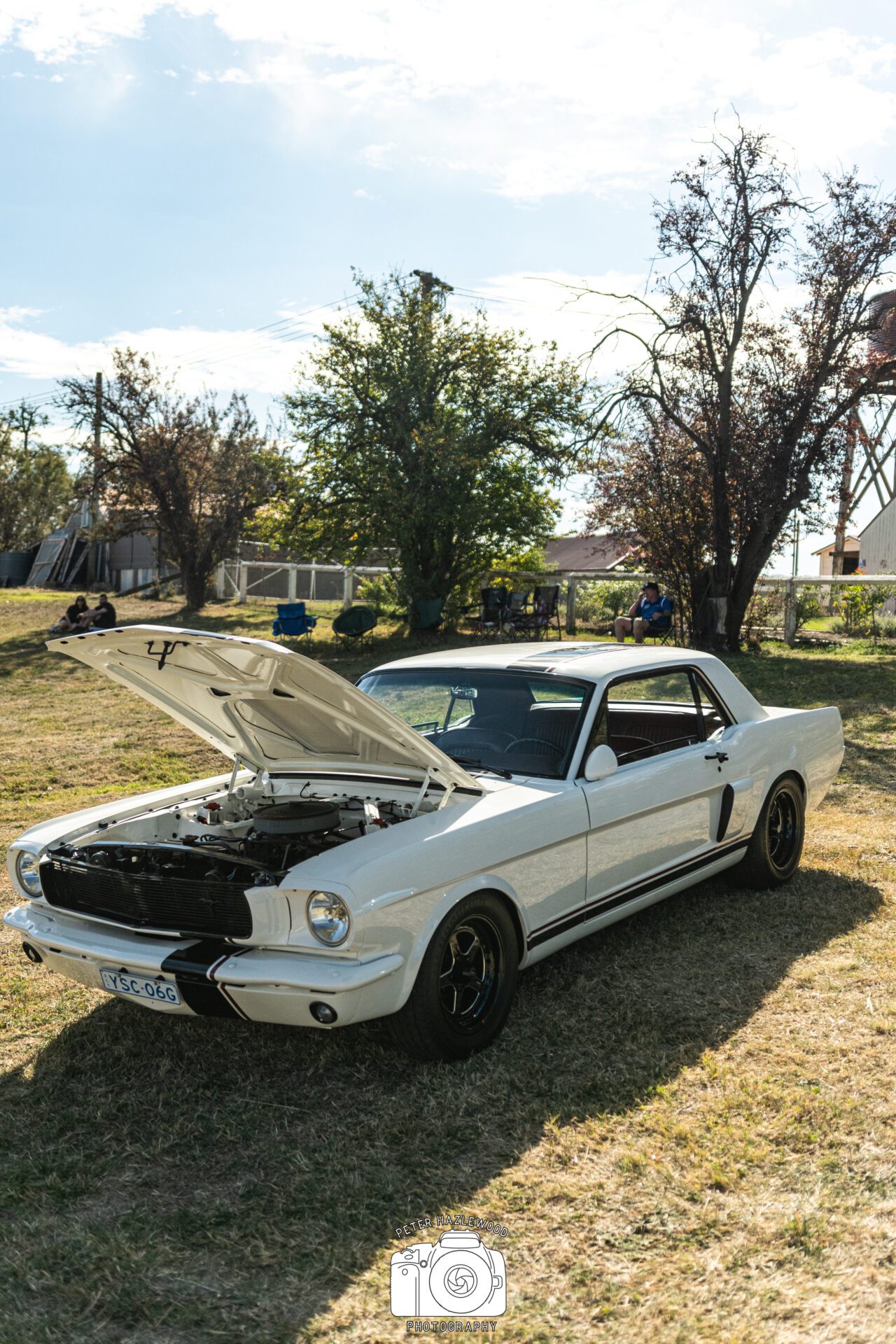 White classic Ford Mustang with hood open displayed on grass at outdoor event.