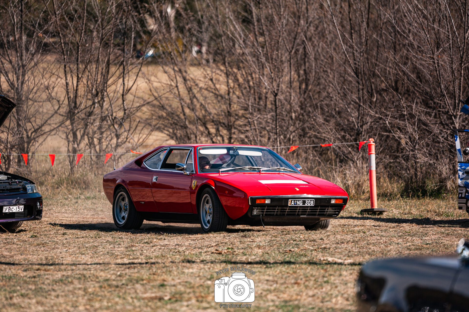 Red vintage Ferrari sports car parked on dry grass with leafless trees in the background.