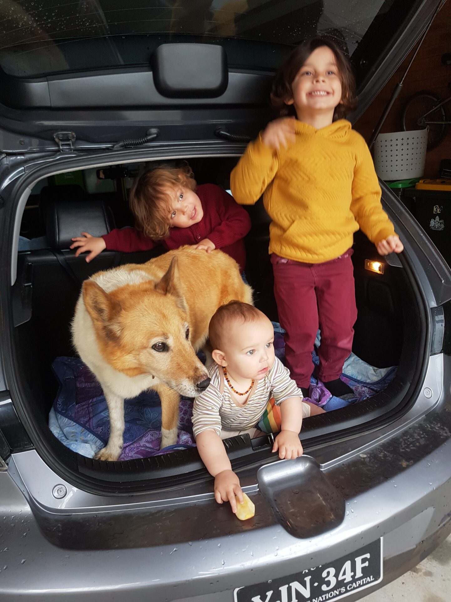 Three children and a tan-and-white dog sitting in the open trunk of a car.